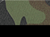 &raquo;