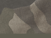 &raquo;
